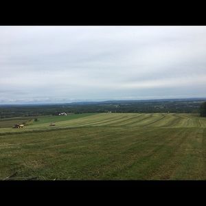 Meet your Posher, Adam